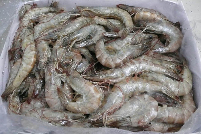 拉斯维加斯(9888)唯一官方网站