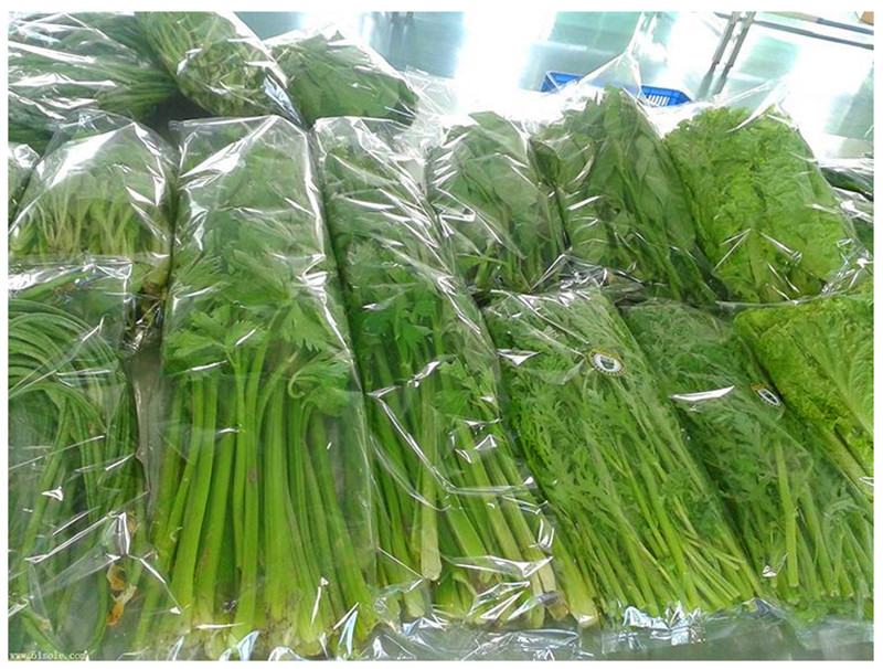 拉斯维加斯(9888)唯一官方网站