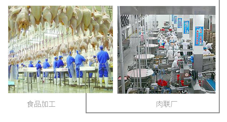 拉斯维加斯(9888)唯一官方网站