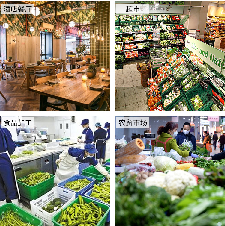 拉斯维加斯(9888)唯一官方网站