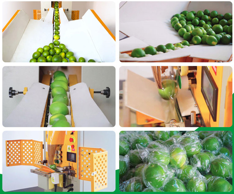 拉斯维加斯(9888)唯一官方网站