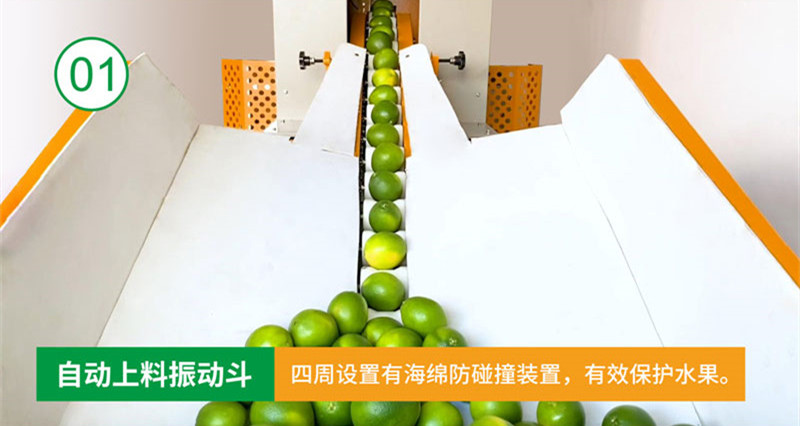 拉斯维加斯(9888)唯一官方网站