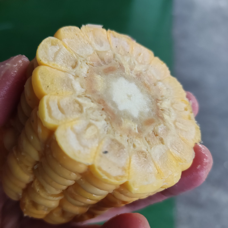 拉斯维加斯(9888)唯一官方网站